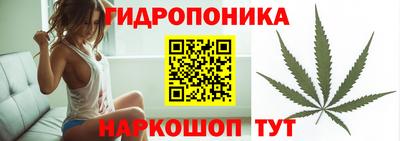 сатива Рыбинск
