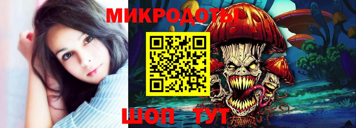 Псилоцибиновые грибы Psilocybe Орск